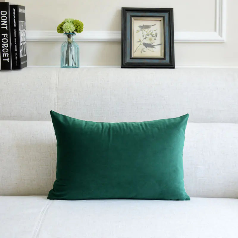 HerPillow Co. Velvet Throw Pillow for Sofa Decor