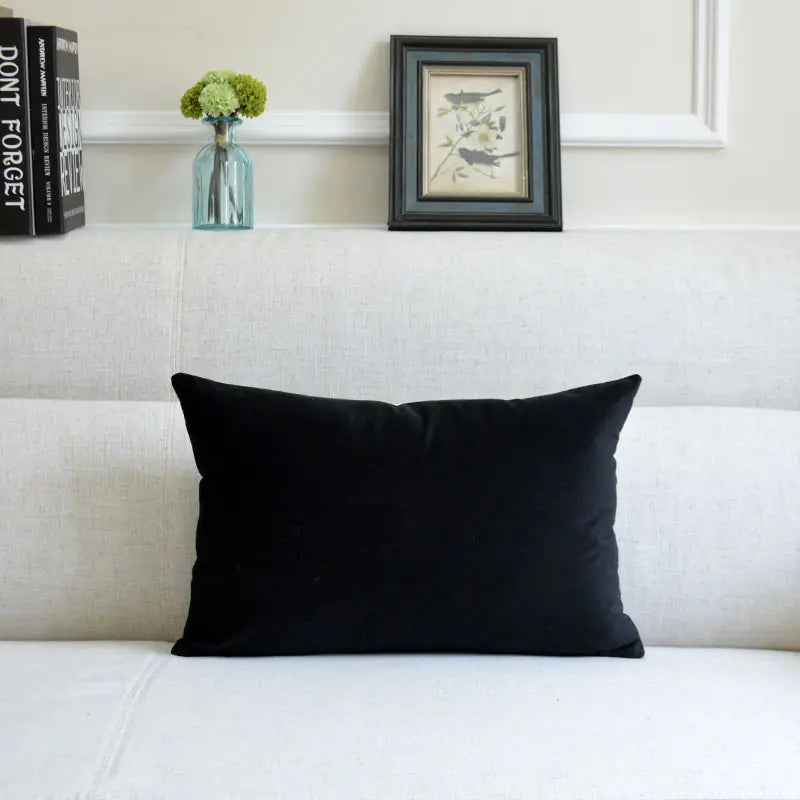 HerPillow Co. Velvet Throw Pillow for Sofa Decor