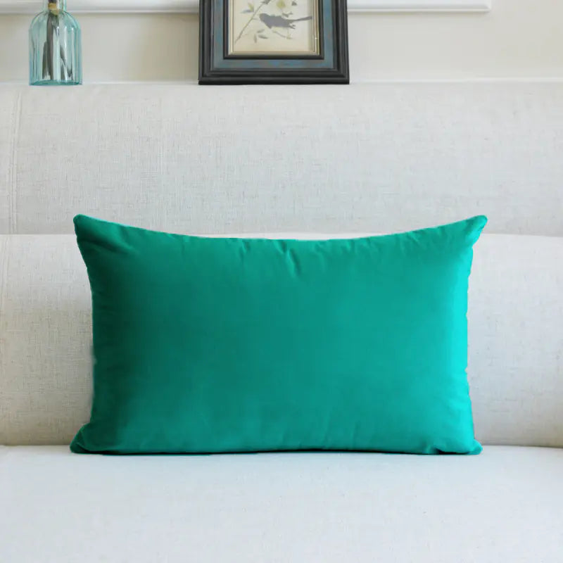 HerPillow Co. Velvet Throw Pillow for Sofa Decor