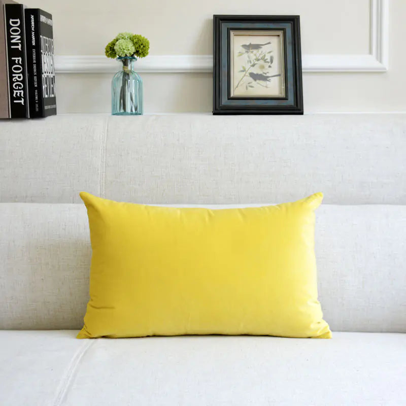 HerPillow Co. Velvet Throw Pillow for Sofa Decor