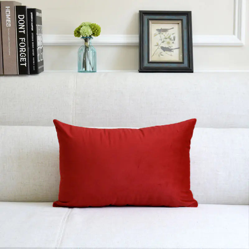 HerPillow Co. Velvet Throw Pillow for Sofa Decor