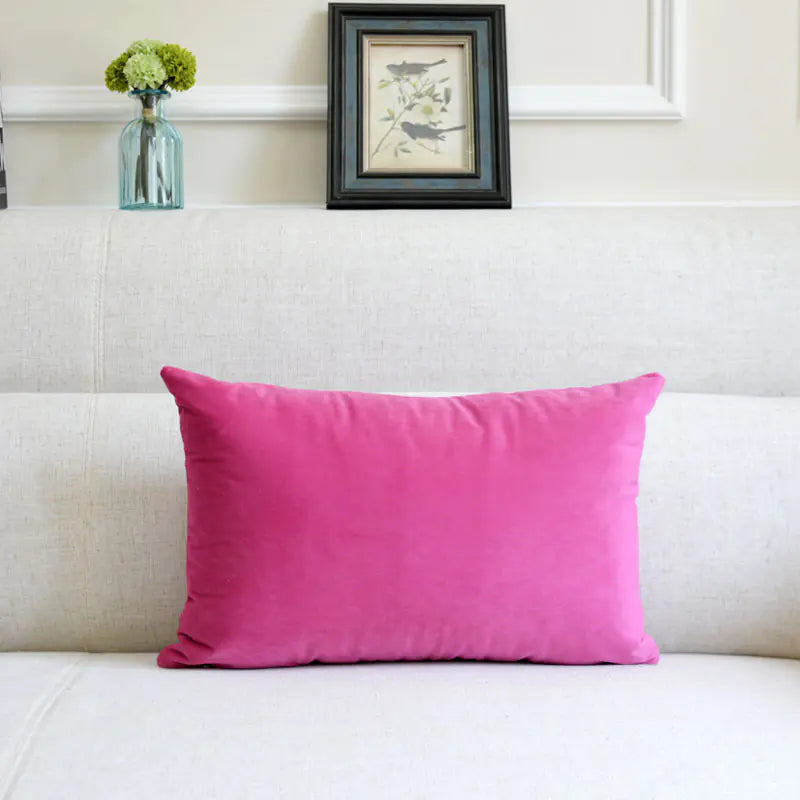HerPillow Co. Velvet Throw Pillow for Sofa Decor