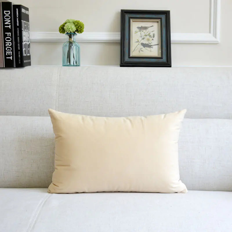 HerPillow Co. Velvet Throw Pillow for Sofa Decor