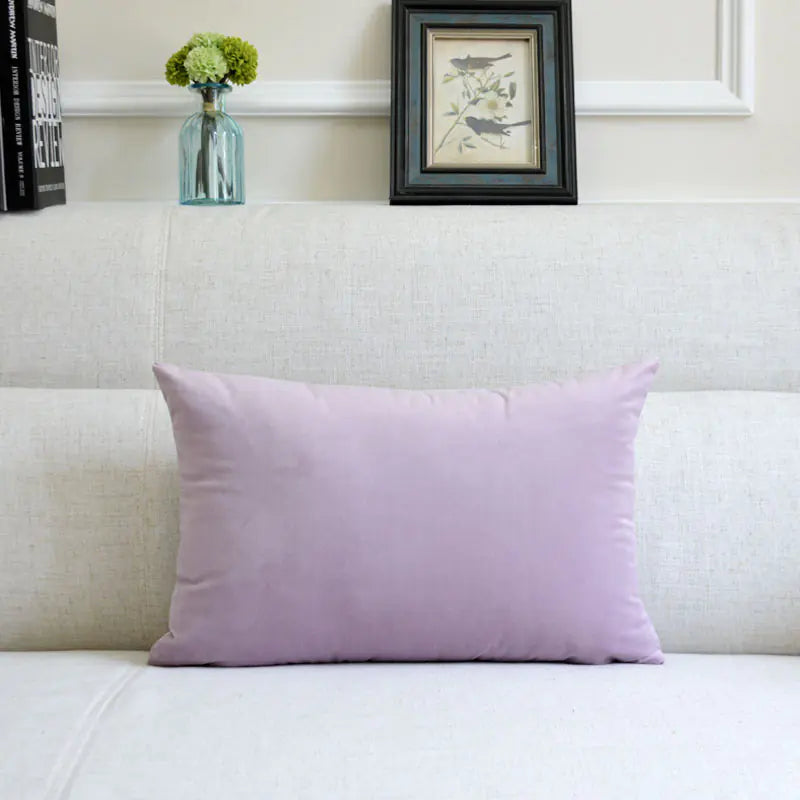 HerPillow Co. Velvet Throw Pillow for Sofa Decor
