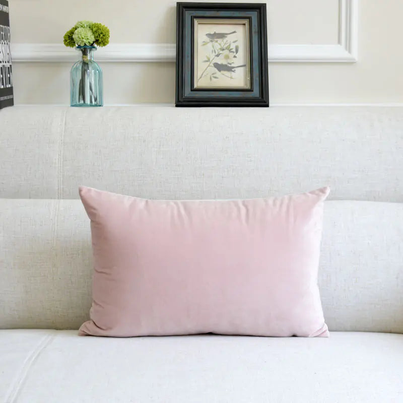 HerPillow Co. Velvet Throw Pillow for Sofa Decor