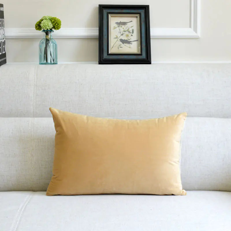 HerPillow Co. Velvet Throw Pillow for Sofa Decor